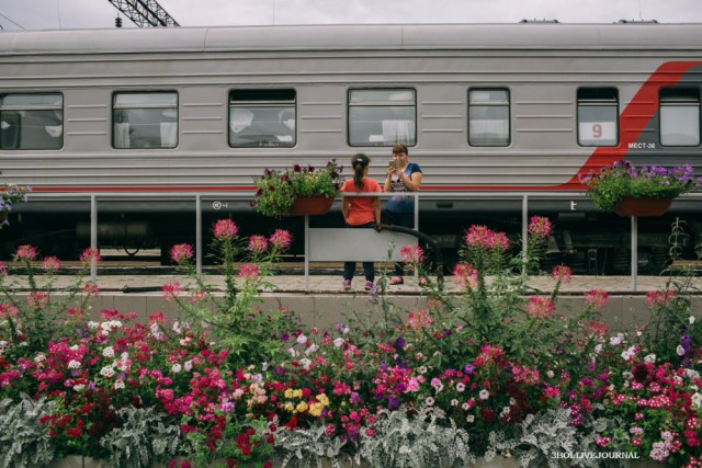 Коммуналка на колесах
