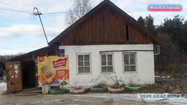 Ужасы нашего городка! Эпилептик расчленил двух женщин в Свердловской области и умер на месте преступления