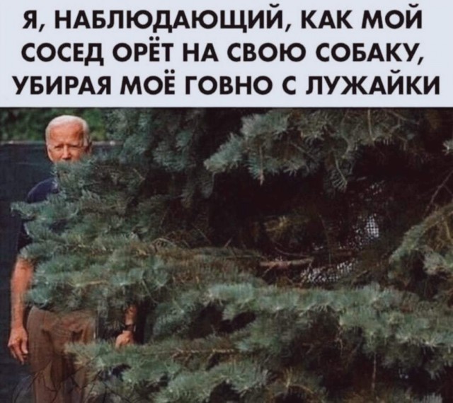Сборник картинок 10.01.20
