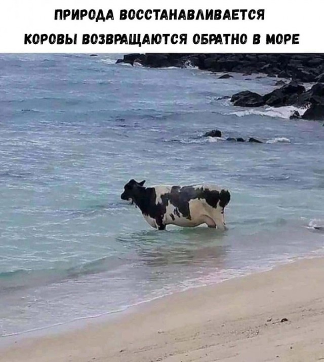 Немного картинок для настроения 15.04.20