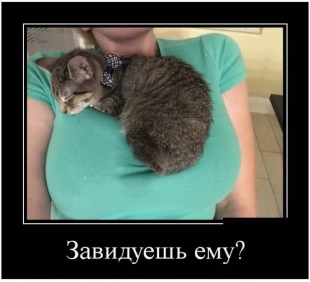 Снова пятница. И немного слегка пошлых картинок с надписями и без 16+ (04.09)