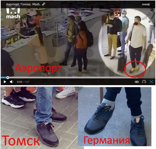 Певчая птичка отравила Навального