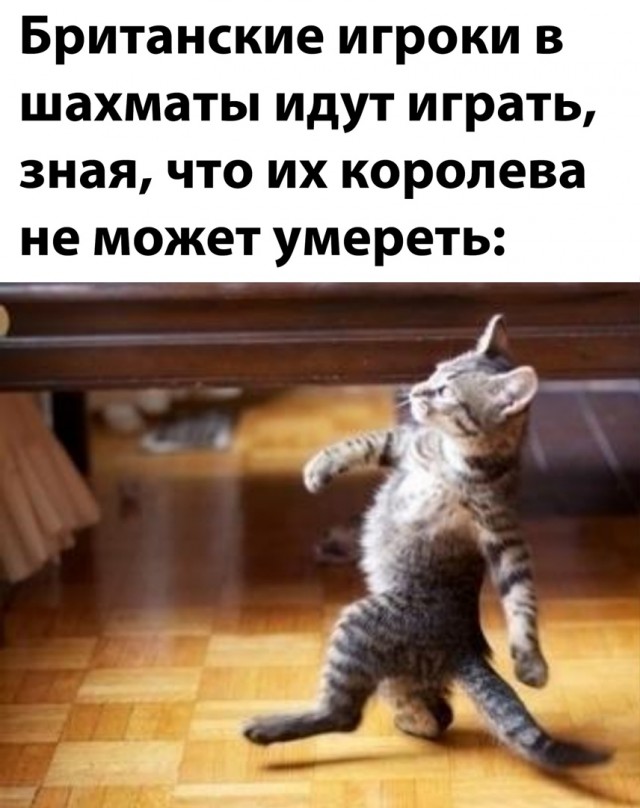 Кретинизмы из сети 02.01.2021. Типа новогодние