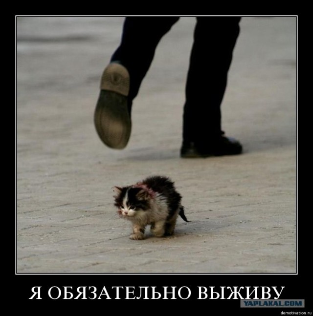 Большой маленького спас