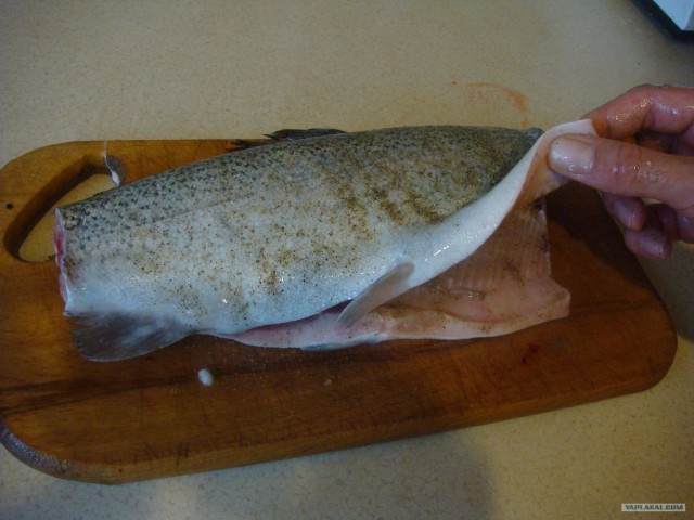 Все из рыбы!