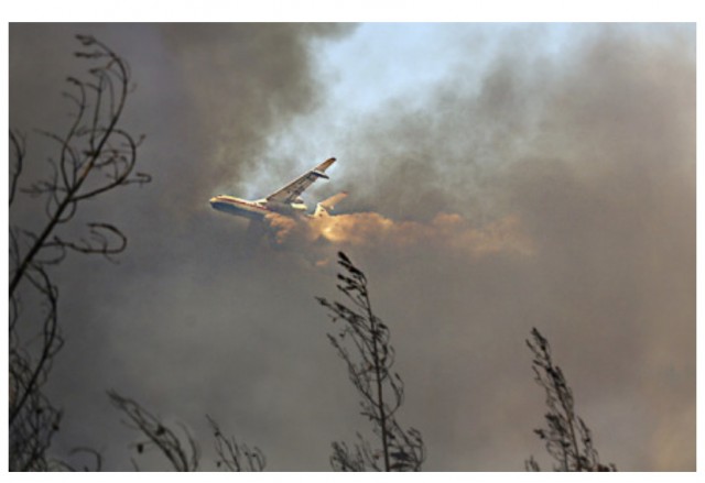 Тушение турецких лесов российскими самолётами оценили в $24 млн