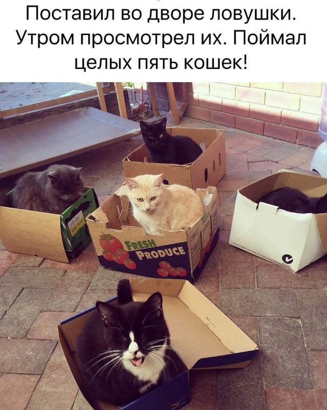 Так себе картинки 26.10.21