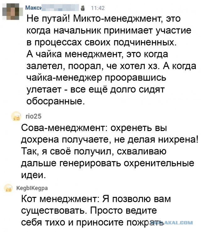 Свинегрет: картинки, надписи и прочее "на", №33