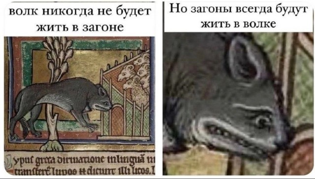 Говорят, волка приручить нельзя...
