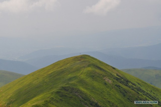 Карпаты 2011