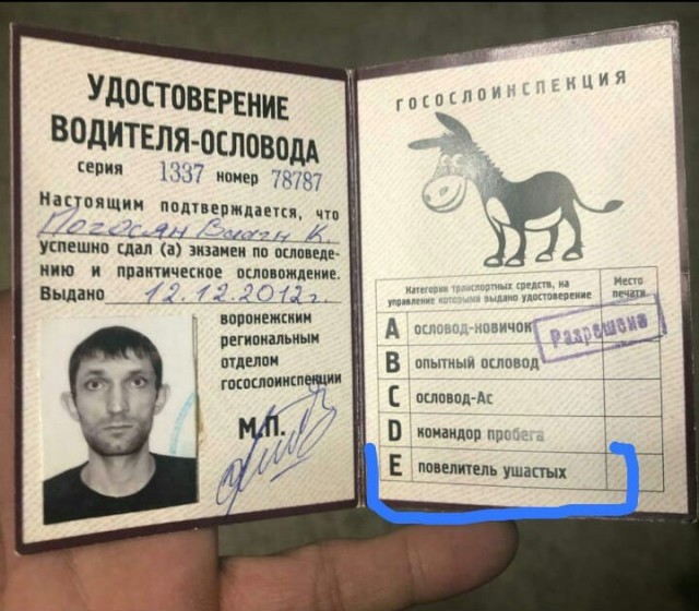 В Москве очевидцы заметили неадекватное поведение водителя экскаватора Doosan, который чуть не переехал мать с ребенком