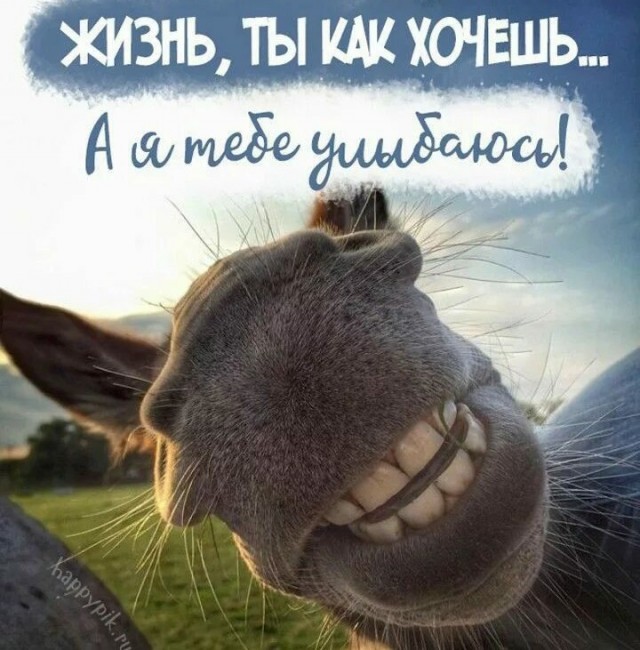 В одноклассниках  поставили «2» в оценке фото