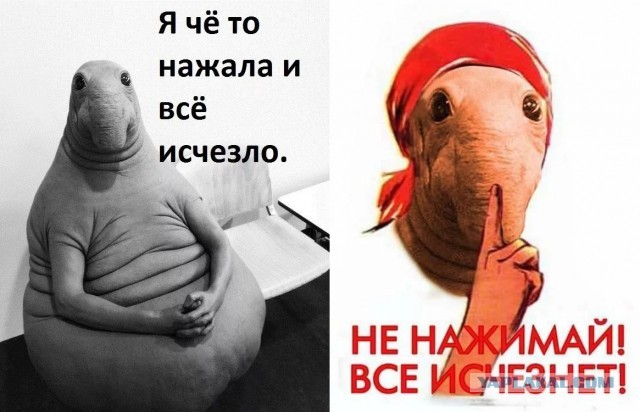 Истории про людей, которые совсем не разбираются в компьютерах