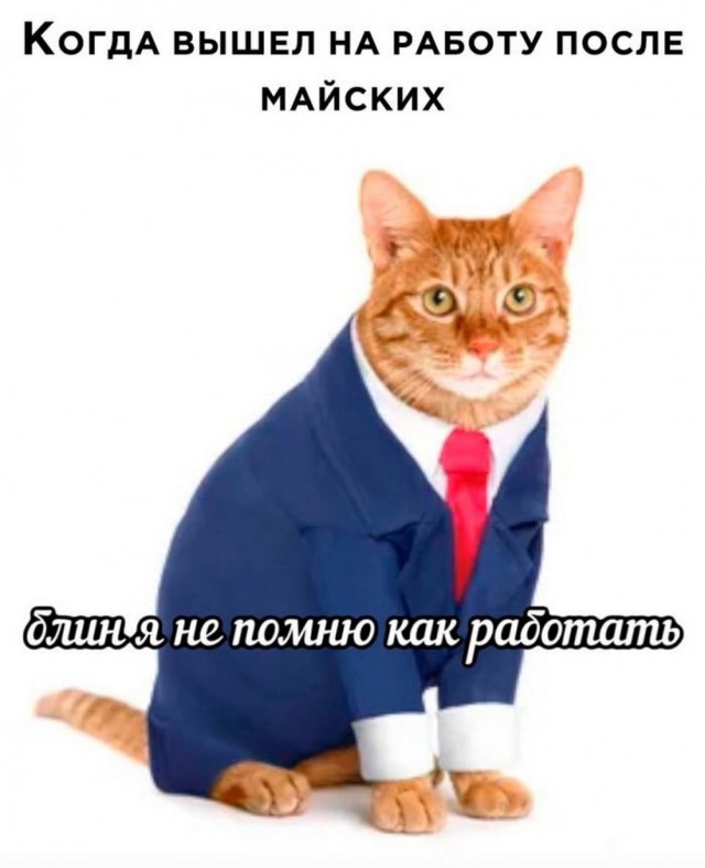 Картинки и мемы, всяко разно - 179