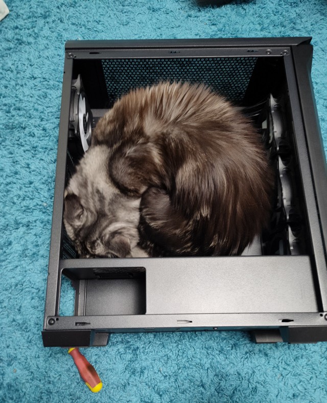 Ловушки для котов