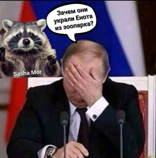 Мем с енотом 2025