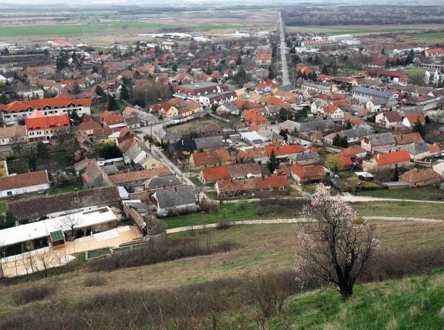 Красивые фото ЯПа