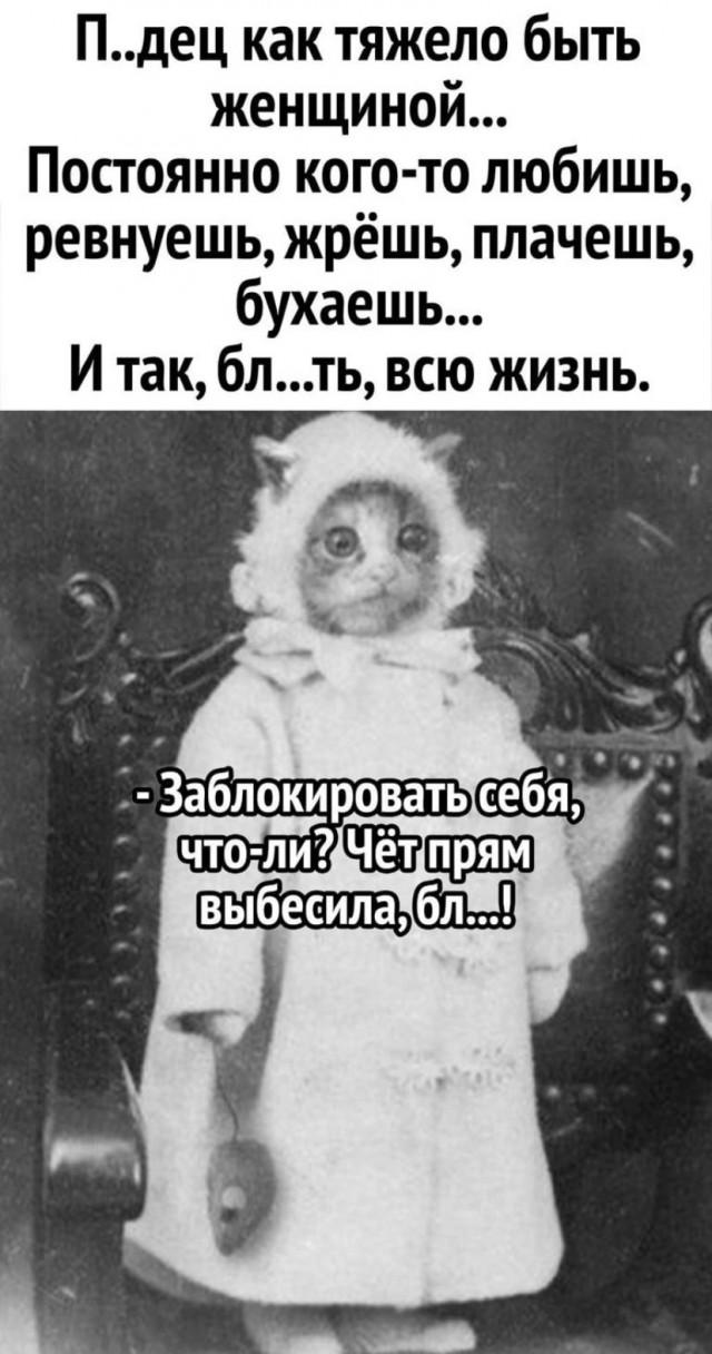 18689636.jpg