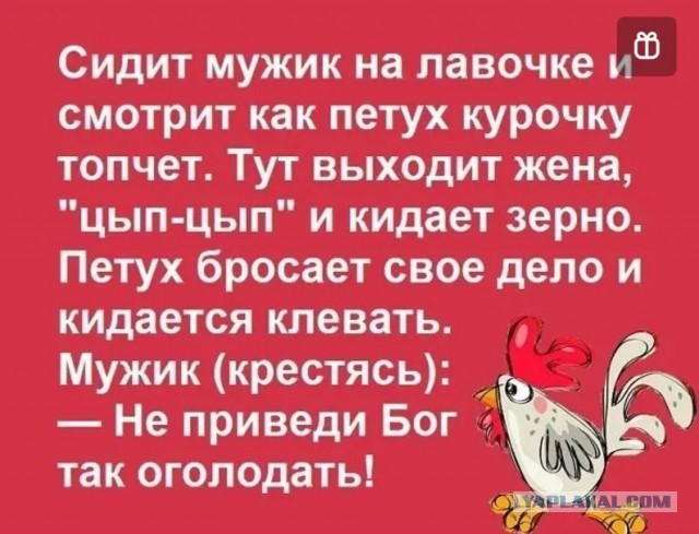 Когда позвали кушать