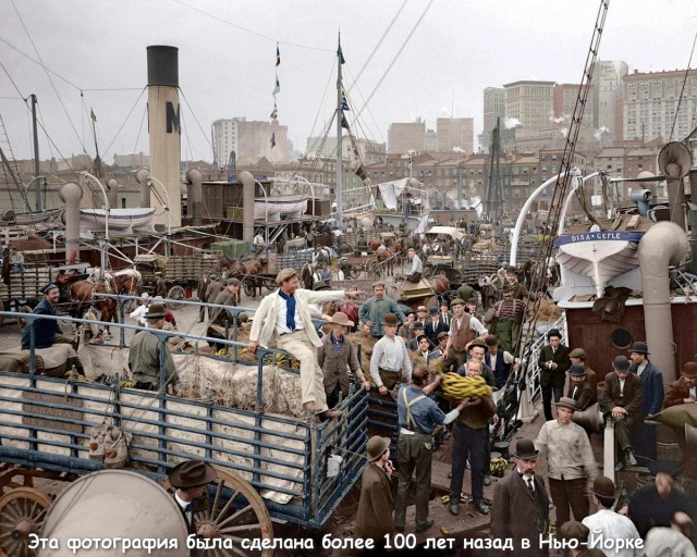 Подборка интересных и веселых картинок 13.02.24