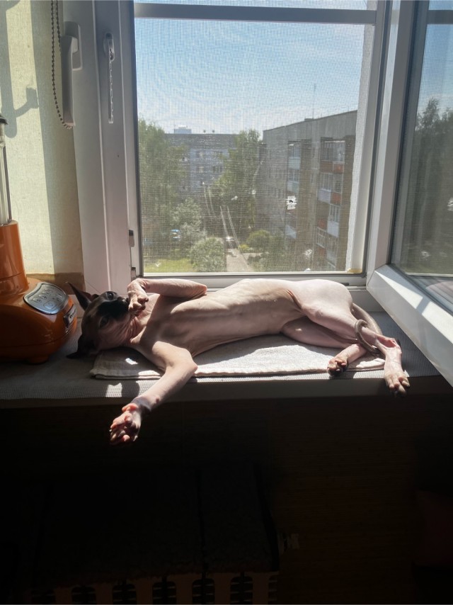 Максимально лысая подборка