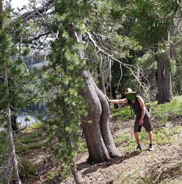 ФотоВинегрет