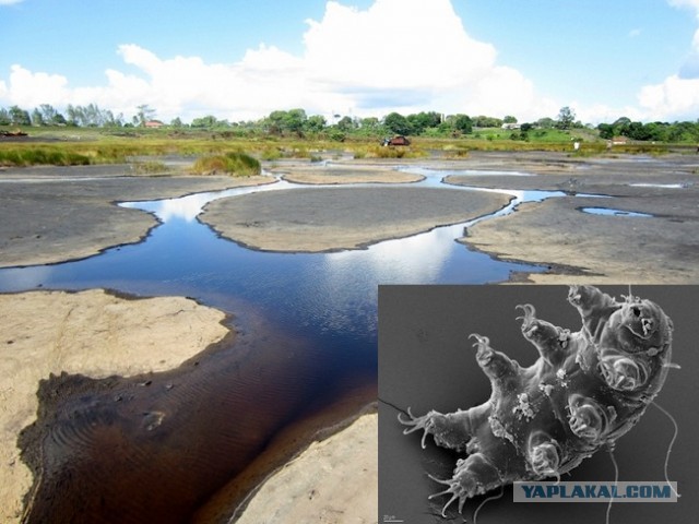 9 совершенно не подходящих для жизни мест