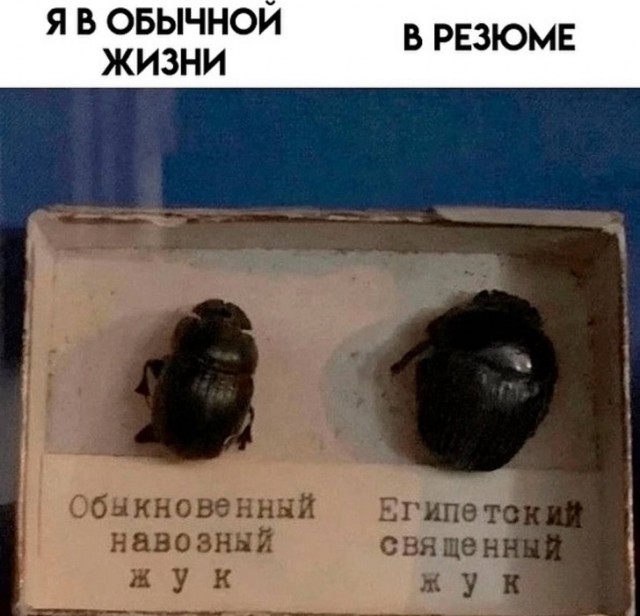 Картинки разные с надписями и без