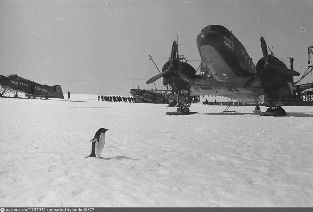Фотографии из прошлого нашей страны – 103