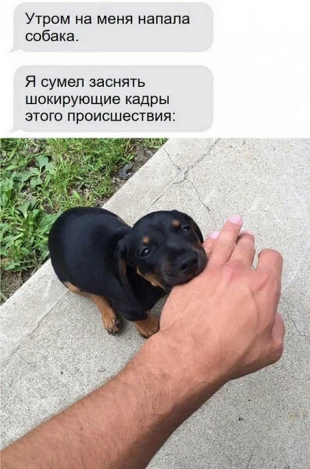 Картинки разные с надписями и без