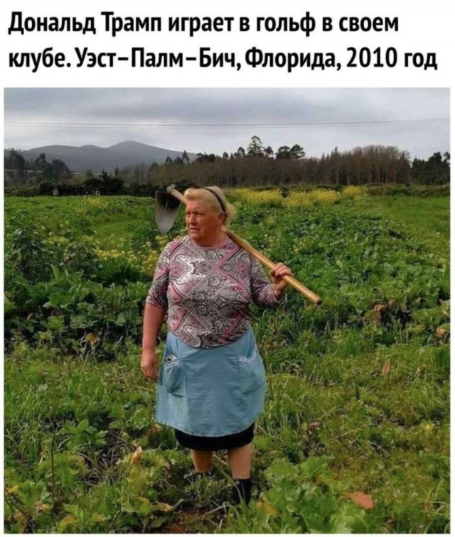 Так себе картинки 28.05.25