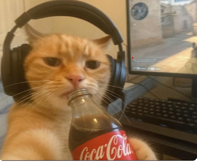 У нас сегодня релакс.