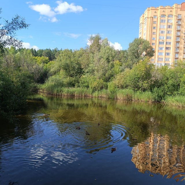 Их борьба