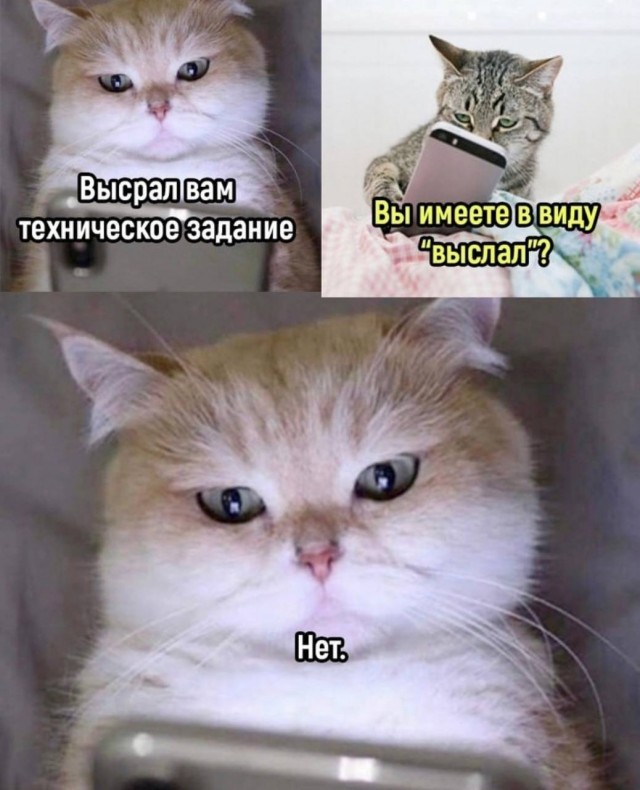Картинки для деградации 29 (разной степени свежести)