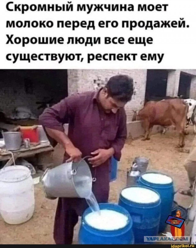 Бабушки на рынках зарабатывают по ₽200 тыс. в месяц