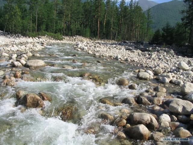 Поездка на БАМ в наше время (53 фото)