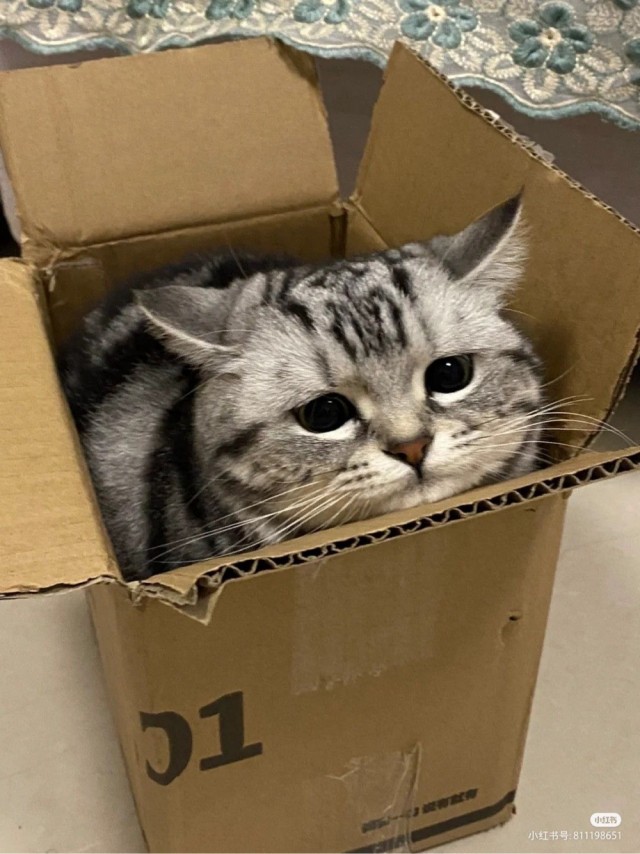 Котокоробковое