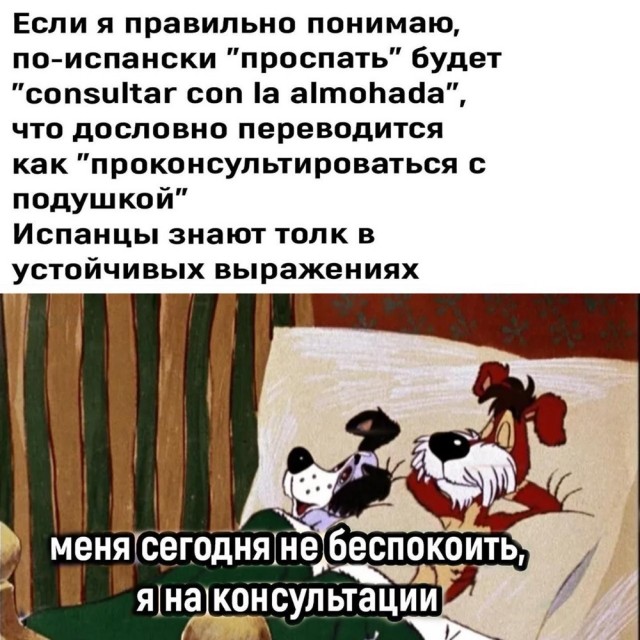 Прикольные и просто красивые картинки 16.01.2026