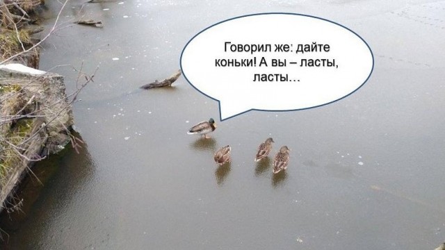 Больше он к нам не приедет
