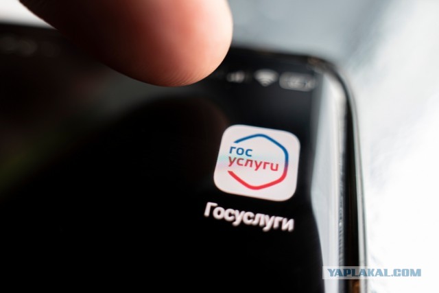 "Тревожная кнопка" на "Госуслугах": что это, когда появится и как будет работать