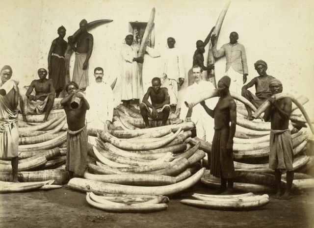 Редкие кадры и архивные снимки 18.02.26