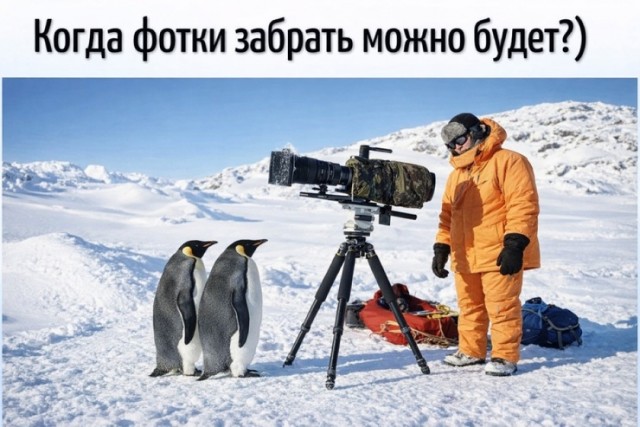 Субботние картинки