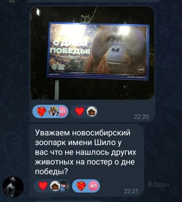 Жителей Новосибирска бомбануло из-за плаката местного зоопарка ко Дню Победы
