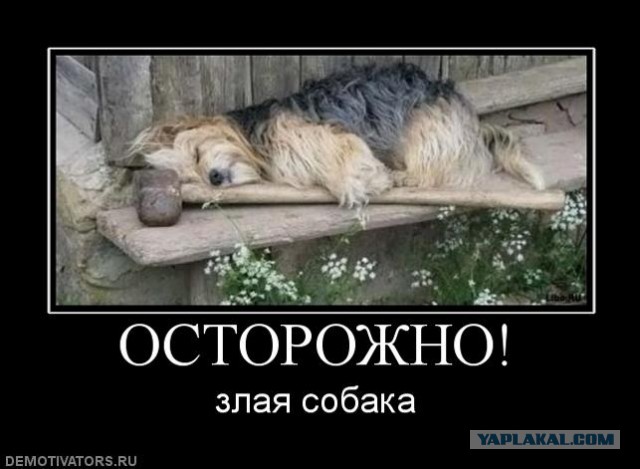 Обитель зла!