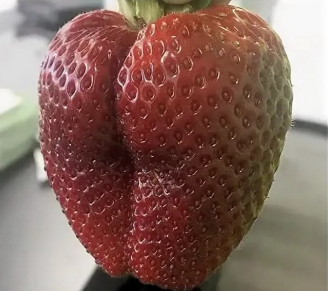 Пятничные жопки