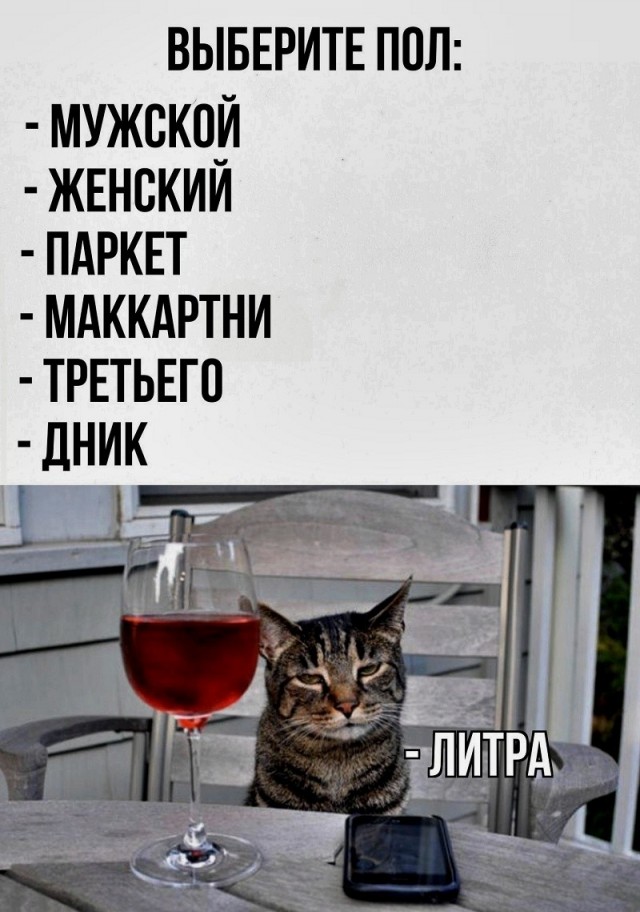 Картинки для деградации 252 (разной степени свежести)