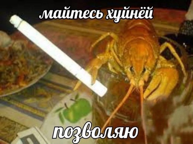 Отсутствие морально этических норм Vol.101