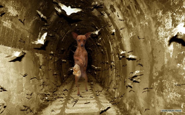 Страх и ненависть в метро