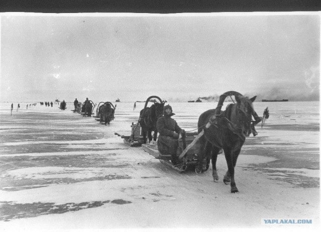 Блокадный Ленинград 1943 год