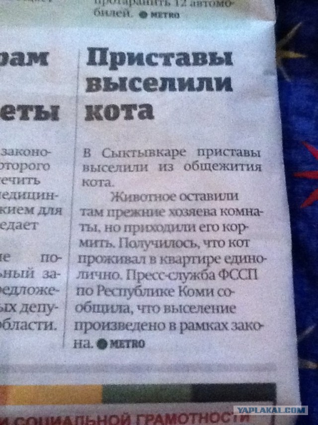 немного маразмов